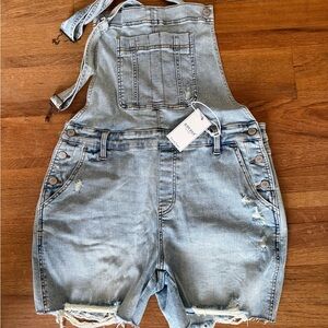 Judy Blue Light Wash Denim Overall Jean Shorts